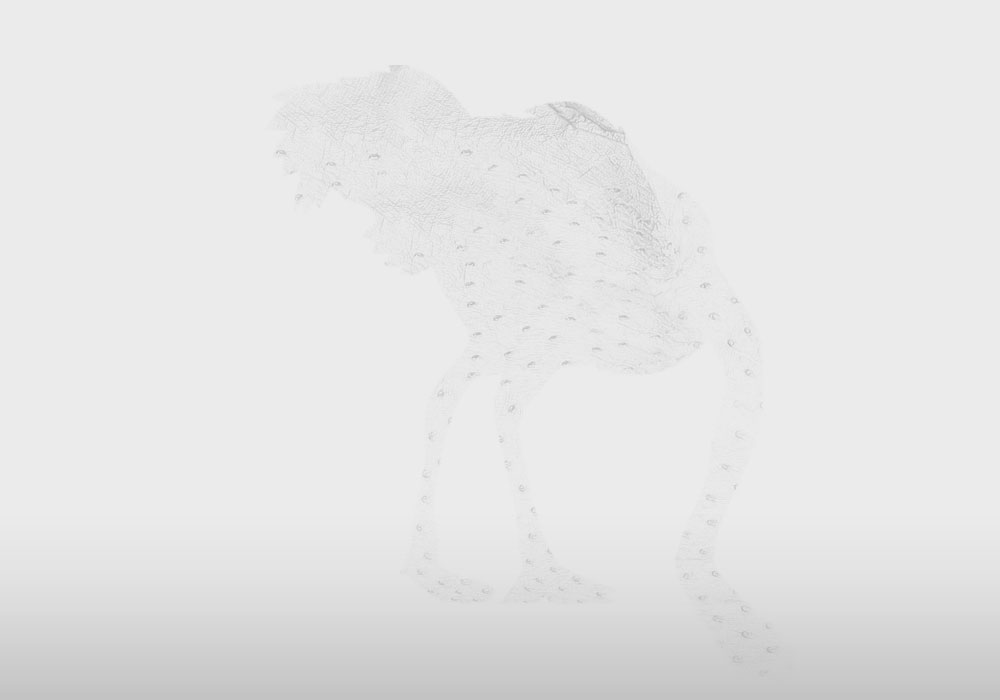 Ostrich big
