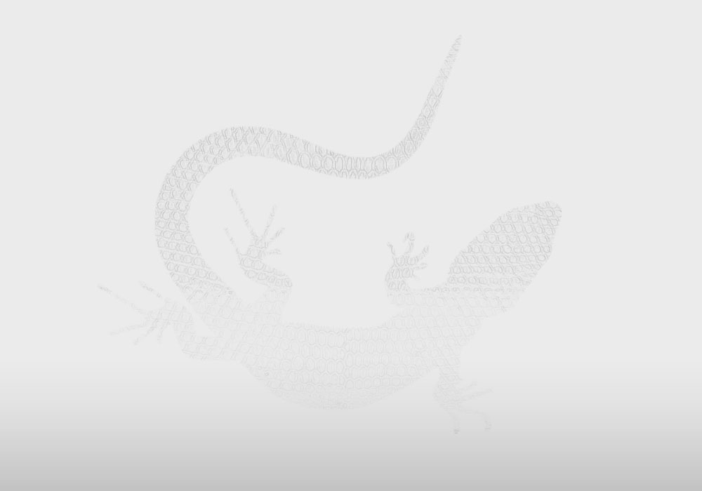 Lizard big