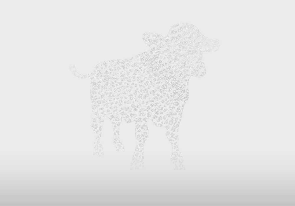 Calfskin big