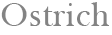 Ostrich