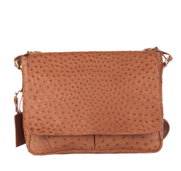 Finn Messenger Bag