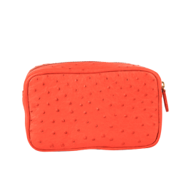 Pouch